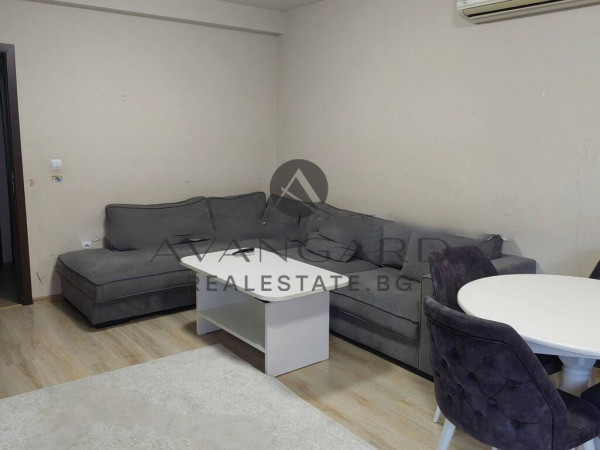 DETACHED HOUSE WITH YARD / Brestovitsa village