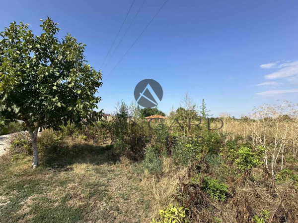 Four acres of plot / to houses / gold