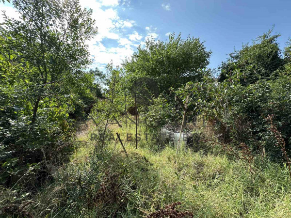 Parcel / top location / glory