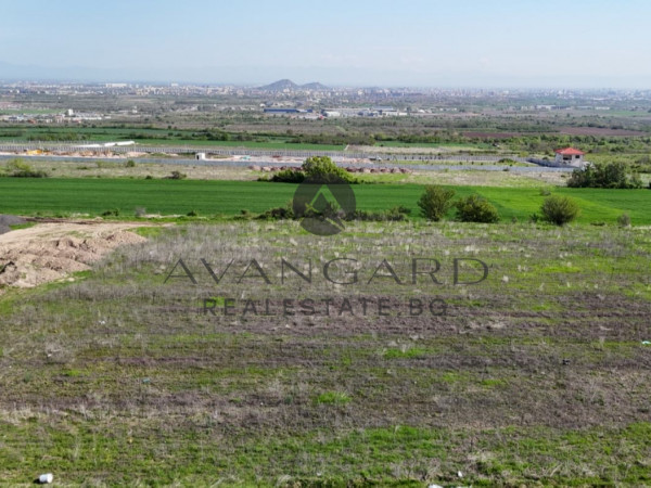 A great plot in Markovo