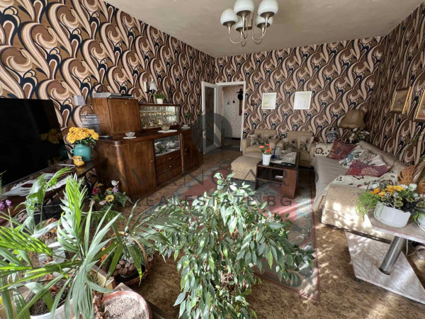 MULTI-ROOM CENTER/ Water Palace