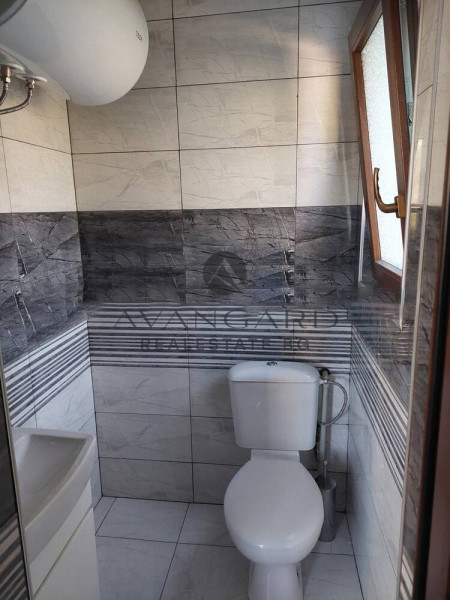 DETACHED HOUSE WITH YARD / Brestovitsa village