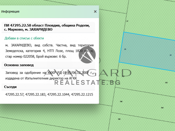 Plot between Markovo and Belashtitsa