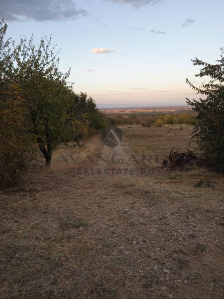 Parcel / Panoramic View / Brestnik