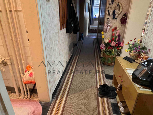 MULTI-ROOM CENTER/ Water Palace