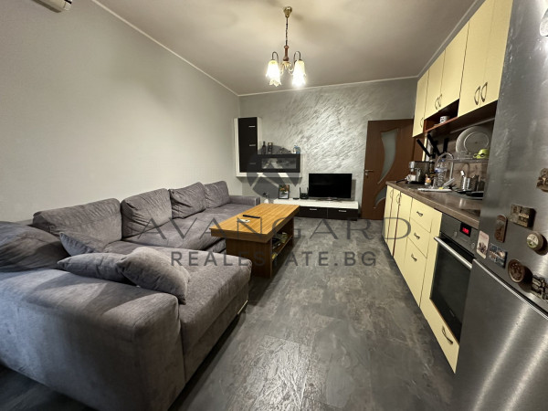 Spacious three -bedroom / Plovdiv University