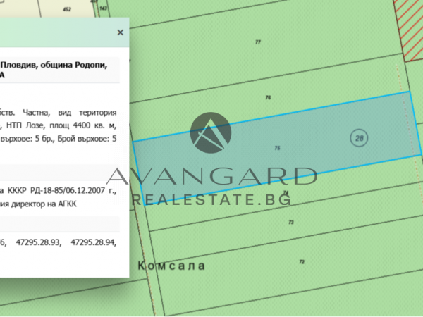 4400 sq.m. Parcel between Markovo and Parvenets